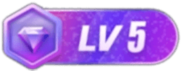等级-LV5-虚拟货源网