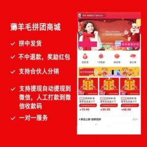 薅羊毛拼团商城小程序源码v2.8.6+前端-虚拟货源网