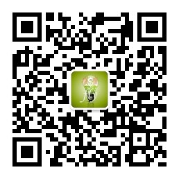 5种最适合新手微商的加人方法式加人法-虚拟货源网