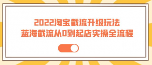 2022淘宝截流玩法课程:从0到起店实操蓝海截流全流程(外面售价998)-虚拟货源网