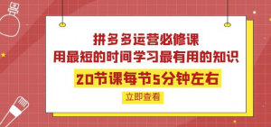 拼多多开店运营课程:用最短的时间学好拼多多运营-虚拟货源网