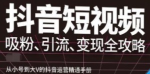 抖音视频号高级实操课程:从小号到大V的抖音运营精通手册(吸粉、引流、变现全攻略)-虚拟货源网