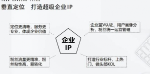 短视频带货合集详细教程(外边卖3980元)-虚拟货源网