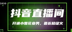 抖音直播间开通小雪花业务(外面收费288)最近超火-虚拟货源网