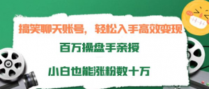 打造搞笑聊天账号:轻松入手高效变现,小白也能涨粉数十万-虚拟货源网