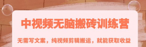 中视频搬砖玩法:纯视频剪辑搬运,无需写文案就能获取收益!-虚拟货源网