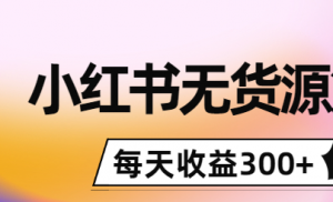 小红书无货源怎么赚钱:0投入起店,无脑图文精细化玩法,每天收益300+-虚拟货源网