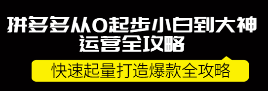 图片[1]-拼多多开店怎么运营：拼多多小白到大神运营全攻略，快速起量打造10W+爆款-虚拟货源网
