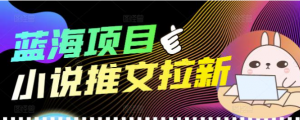 个人工作室创业项目:小说推文拉新项目可批量做【详细教程】外面收费6880-虚拟货源网