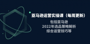 亚马逊运营实操课:亚马逊最新选品策略解析,综合运营技巧等-虚拟货源网