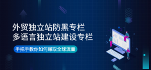 外贸独立站防黑+多语言独立站建设,手把手教你如何赚取全球流量-虚拟货源网