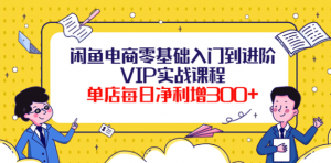 闲鱼电商零基础入门VIP实战课程,单店每日净利增300+(37节课)-虚拟货源网