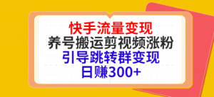 快手流量变现绝密教程,引导跳转群变现日赚300+-虚拟货源网